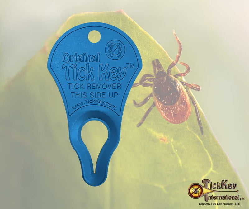 The Original Tick Key -Tick Detaching Device - Portable, Safe and Highly Effective Tick Detaching Tool (Rainbow 7 Pack) - BeesActive Australia