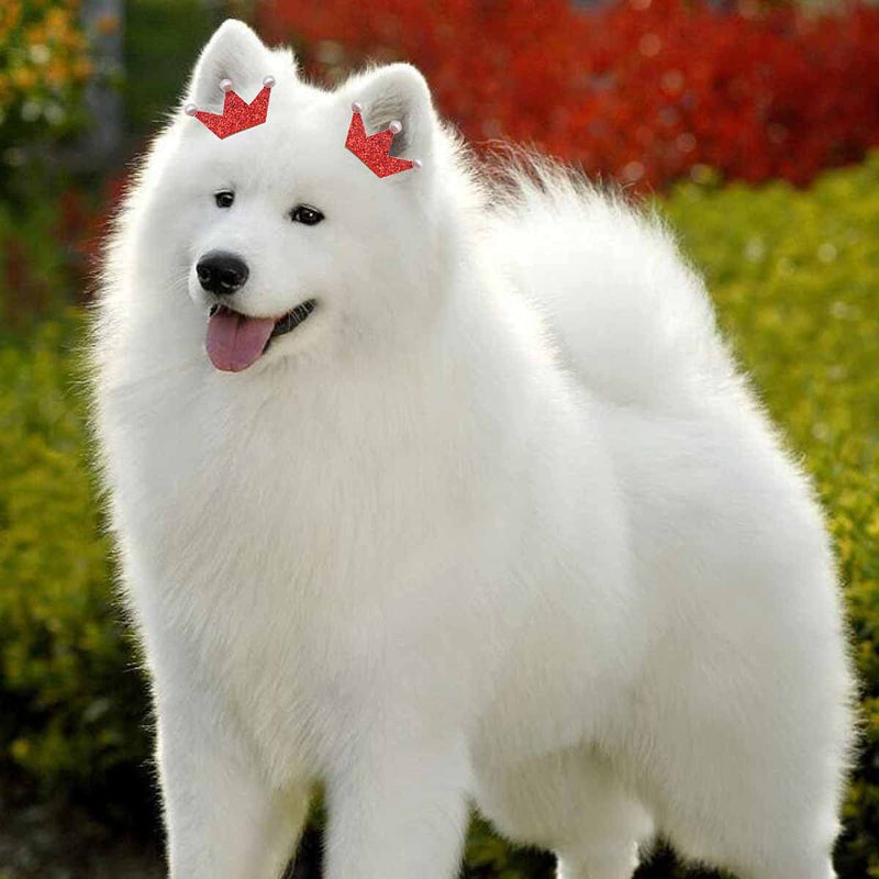 FZBNSRKO 20Pcs Pet Flower Crown Rubber Band Flower Bow Puppy Dog Bow Accessories (Random Color) - BeesActive Australia