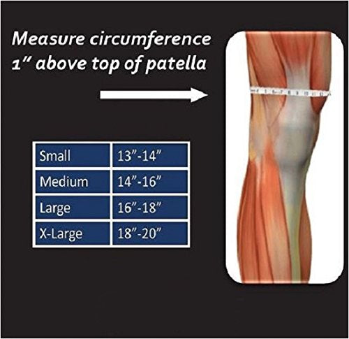 Pro-Tec Gel-Force Knee Support, Large - BeesActive Australia