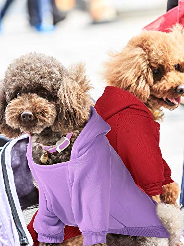 4 Pieces Dog Sweaters Dog Hoodie Clothes with Hat for Small Dogs Boy with Pocket Puppy PET Winter Clothes Warm Hoodies Coat Sweater Shirt for Small Dogs Medium - BeesActive Australia