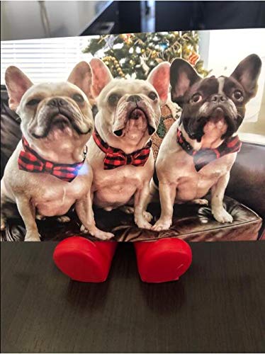 Unique Style Paws Pet Soft &Comfy Bowtie Dog Collar and Cat Collar Pet Gift for Dogs and Cats 6 Size and 7 Patterns Small (Pack of 1) Black and Red - BeesActive Australia