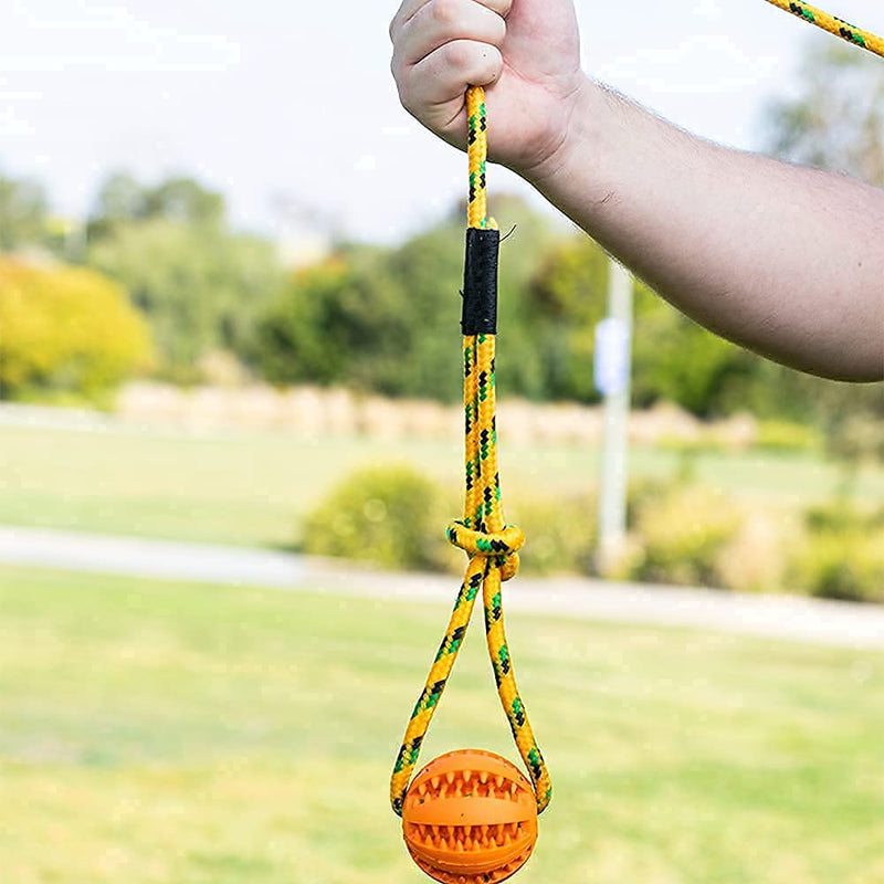 Runball Outdoor Rope and Ball Dog Toy for Dog Training, Exercise, Agility, Chase, Pull, and Tug of War, 10 ft Rope, 2.75 Inches Durable Rubber Orange Ball, for Medium and Large Dogs - BeesActive Australia