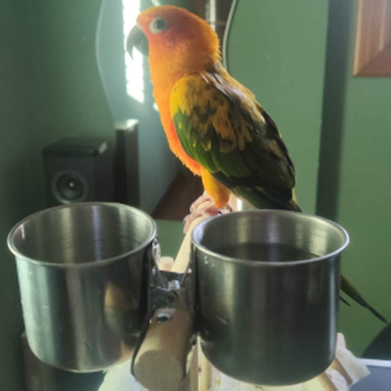 TBWHL Parrot Feeding Cups Hanging Pet Animal Stainless Steel Birdcage Bowls Bird Bowls for Cage Parakeet Bird Cage Accessories Suitable Small and Medium Bird S - BeesActive Australia