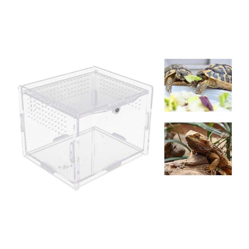 Acrylic Reptile Feeding Box 7.9x4.7x4.7inch Transparent Glass Breeding Box Terrarium with 2 Pcs Straight and Curved Tweezers for Pet Insect Spider Crickets Snails Hermit Crabs Lizard - BeesActive Australia