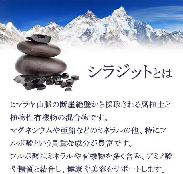 [Ripsa Official] Shilajit Approx. 1 month supply T-769 Supplement - BeesActive Australia