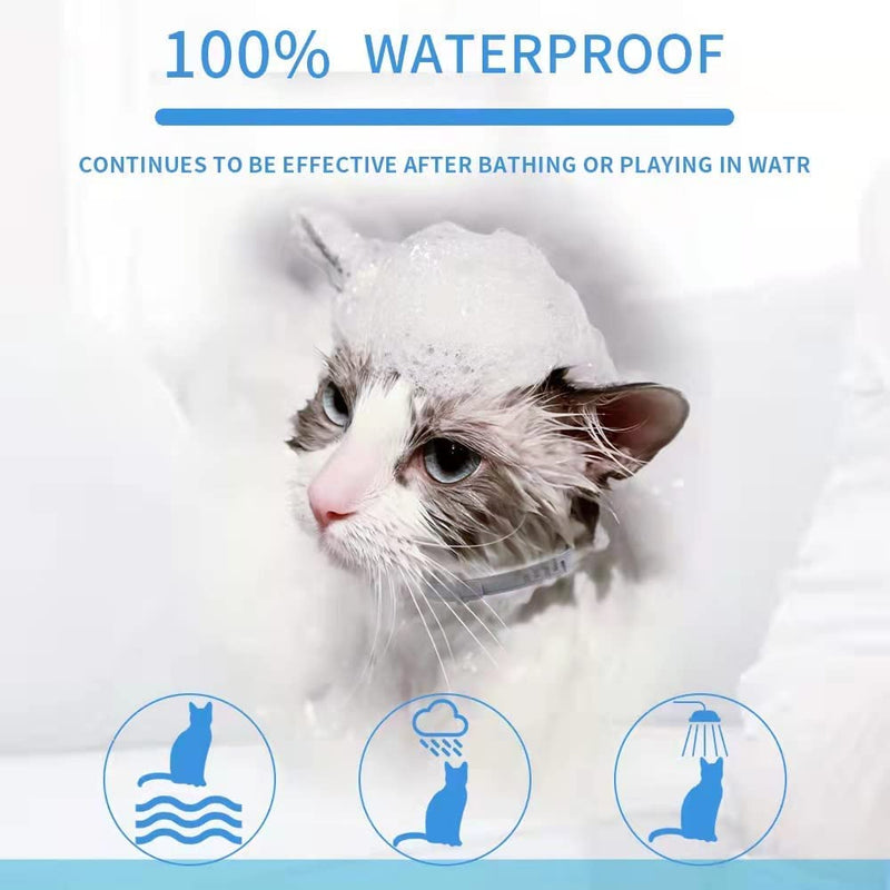 Advanllent Flea Collar for Cats, Flea and Tick Collars for Cats and Kittens, 8 Month Protection, Gray - BeesActive Australia
