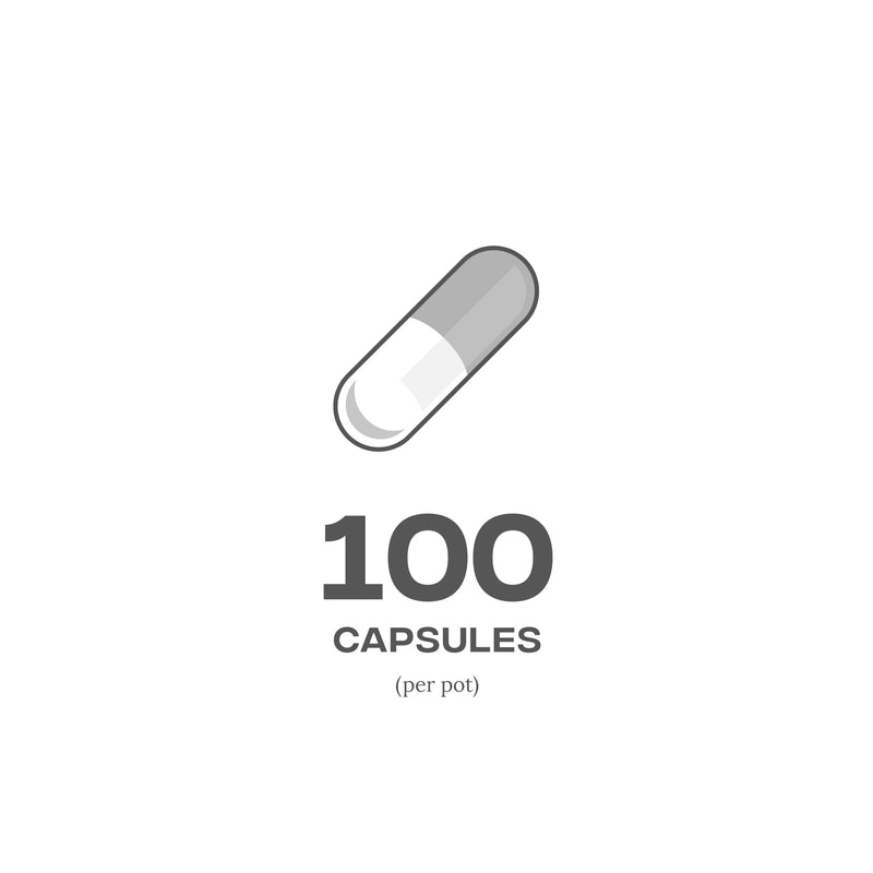 Reflex Nutrition Zinc Matrix Daily Supplement Source of Magnesium Zinc Copper & Boron (100 Caps) - BeesActive Australia