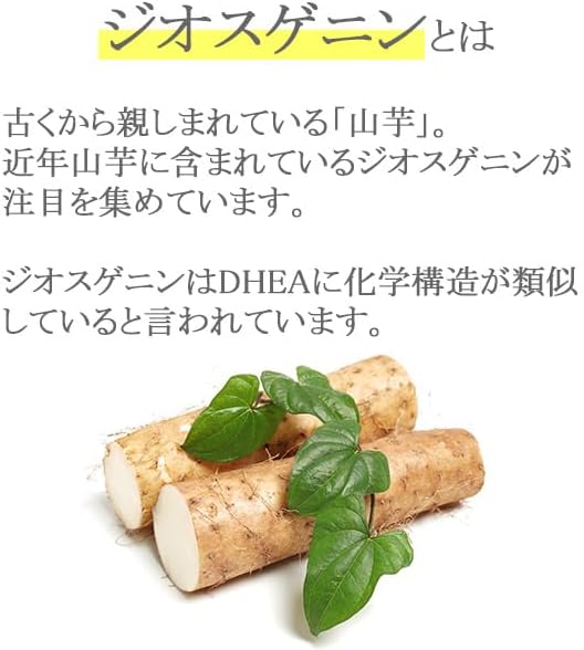 [Ripsa Official] Diosgenin for about 1 month T-737 - BeesActive Australia