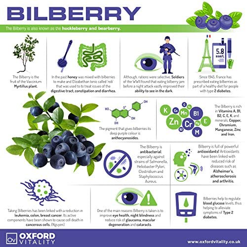 Bilberry, Lutein & Grape Seed Tablets | Vision Care, Eye Health & Antioxidant | Oxford Vitality 2 Count (Pack of 1) - BeesActive Australia