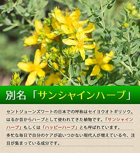St. John's Wort 240 tablets Approximately 4 months' supply Contains GABA Hypericum perforatum Sunshine Herb Happy Herb St. John's wort - BeesActive Australia