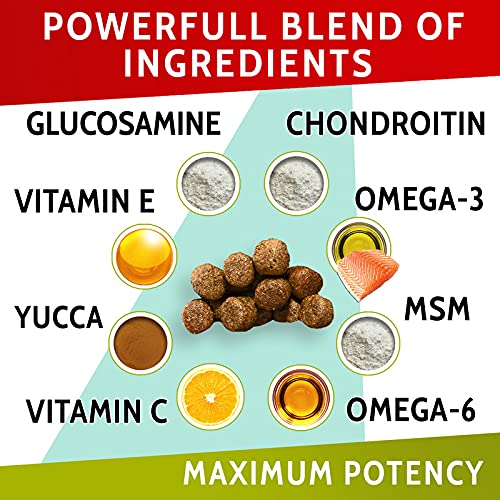 PAWFECTCHEW Glucosamine Dog Treats for Picky Eaters - Joint Supplement w/Chondroitin, MSM, Omega-3 - Joint Pain Relief - Advanced Formula - Chicken Flavor - Made in USA 180 Chews - BeesActive Australia