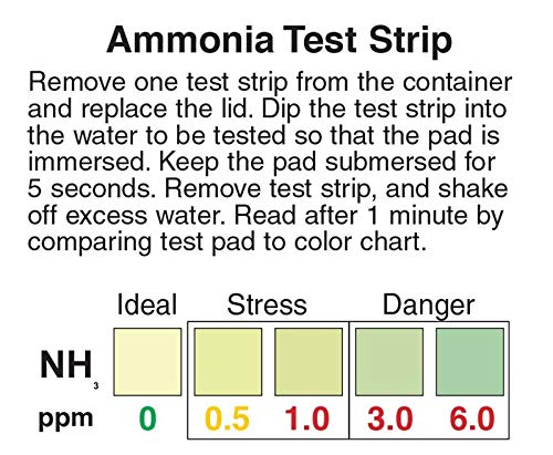 Ammonia NH3 Test Strips, 0-6ppm for Aquarium, Fish Tank and Pond Monitoring [Vial of 25] - BeesActive Australia