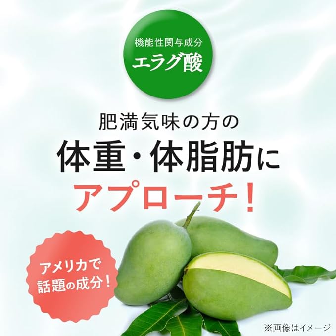 Nippon Pharmaceutical W's Health Green Juice Set of 2 Lactic Acid Bacteria Enzyme Domestic Powder Food with Function Claims - BeesActive Australia
