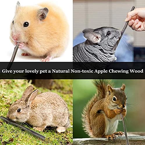 Natural Apple Sticks Small Animals Molar Wood Treats Toys Chinchilla Guinea Pig Hamster Rabbit Gerbil Parrot Bunny and Small Animals Chew Stick Toys Treats Apple Sticks 10oz - BeesActive Australia