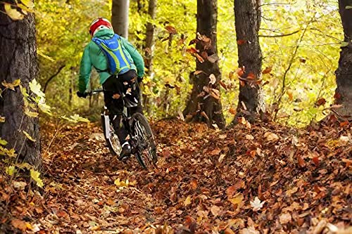 Roptat Hydration Backpack Pack with 2L Hydration Bladder - Lightweight Water Backpack Keeps Water Cool up to 4 Hours Pouch for Women Men Running Riding Biking Style7 - BeesActive Australia