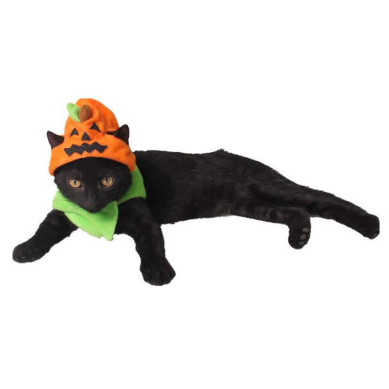 ANIAC Pet Halloween Costume Cat Pumpkin Hat with Scarf Puppy Warm Cap Bunny Head Accessiores and Neckwear for Cats Orange - BeesActive Australia