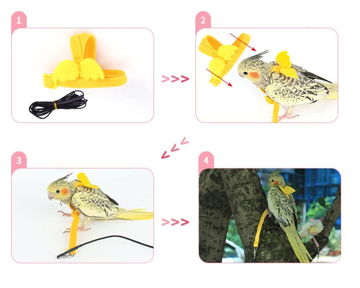 Parrot Harness and Leash Set - Elastic Rope with Adjustable Harness Cute Wing, Suitable for Meduim Size Bird Like Alexandrine Parakeet, Red-Breasted Parakeet, Caique, Mini Macaw BLACK - BeesActive Australia