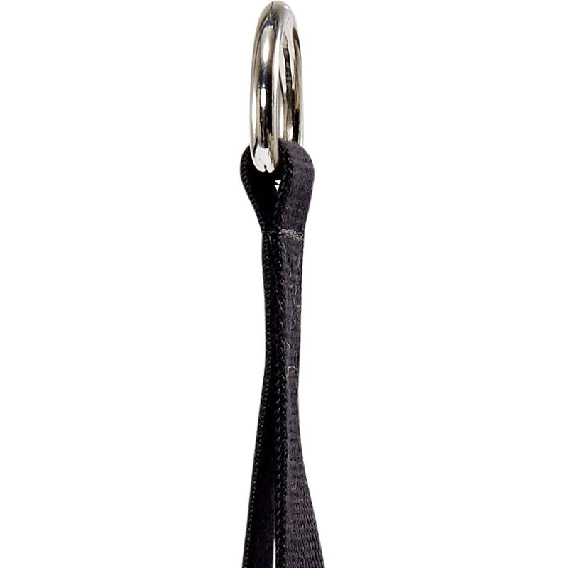 Schiek Sports Model 1400 Heavy Duty Padded Ab Strap - Black - BeesActive Australia