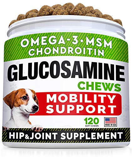 Glucosamine Treats + Allergy Relief Dog Bundle - Joint Supplement w/Omega-3 Fish Oil + Itchy Skin Relief - Chondroitin, MSM + Pumpkin, Enzymes, Turmeric - Skin & Coat - Bacon Flavor + Vegetable Chews - BeesActive Australia