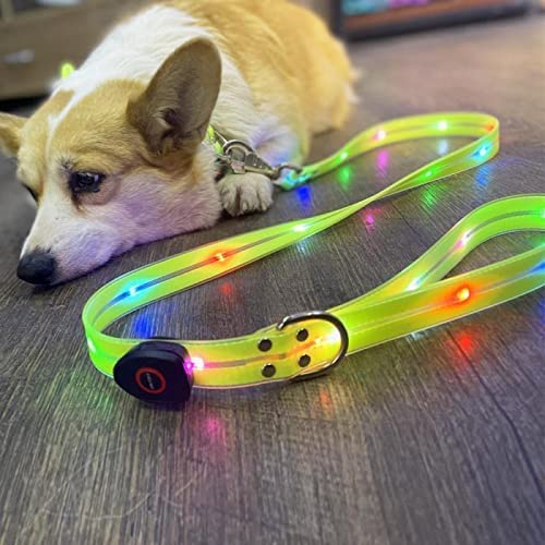 Led Light Up Dog Collars Lights for Night Time Walking Glow in The Dark Dog Leash and Harness Lighted USB Rechargeable for Large Medium Small Pet Yellow LED Collar+leash - BeesActive Australia