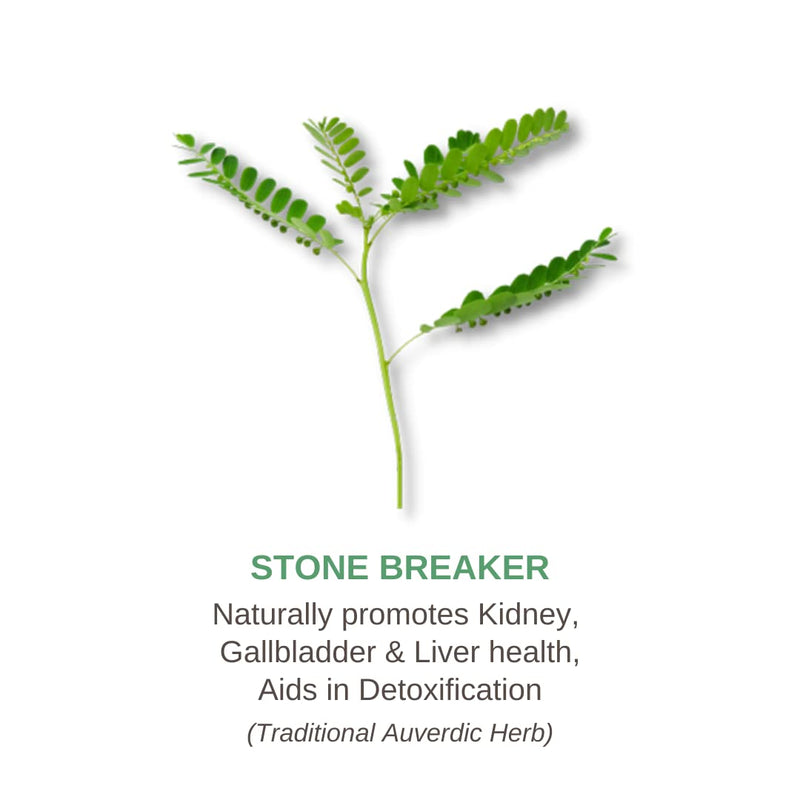 KEPTALIT Natural Liver and Kidney Support Stone Breaker Extract Kidney Cleanse Herbal Supplement Source of Polyphenols - 1 Pack of 60 Capsules - BeesActive Australia