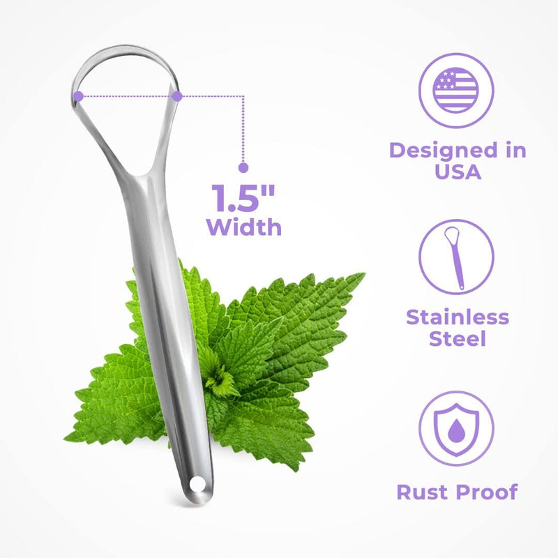 BASIC CONCEPTS Tongue Scraper (2 Pack), Reduce Bad Breath (Travel Cases Included), Stainless Steel Tongue Scrapers for Adults, 100% Metal Tongue Cleaners Fresher Breath 2 Pack - BeesActive Australia