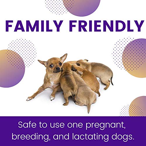 ZoGuard Plus Flea and Tick Prevention for Dogs (Medium - 23-44 lb) 3 Dose - BeesActive Australia