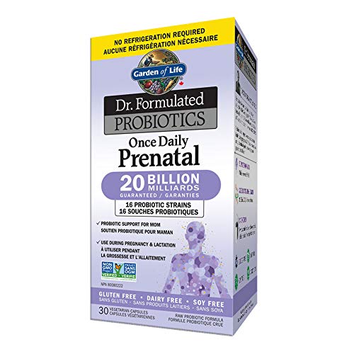 Garden of Life Dr. Formulated Once Daily Prenatal Probiotics 30 Count (Pack of 1) Vegetarian Capsules - BeesActive Australia