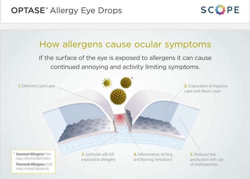 Optase Allergy Eye Drops – A Unique Formulation for Hayfever and Allergic Symptoms Such as Red, Itchy & Watery Eyes – 20 Single 0.5ml Doses - BeesActive Australia