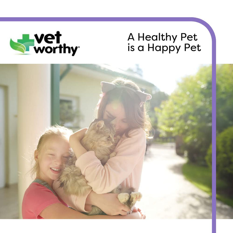 Vet Worthy Urinary Paw Gel for Cats - Cat Supplement to Support Healthy Urinary Tract and Bladder Health - Feline Supplement with Cranberry Extract, L-Lysine and Vitamin C - Salmon Flavor, 3oz - BeesActive Australia