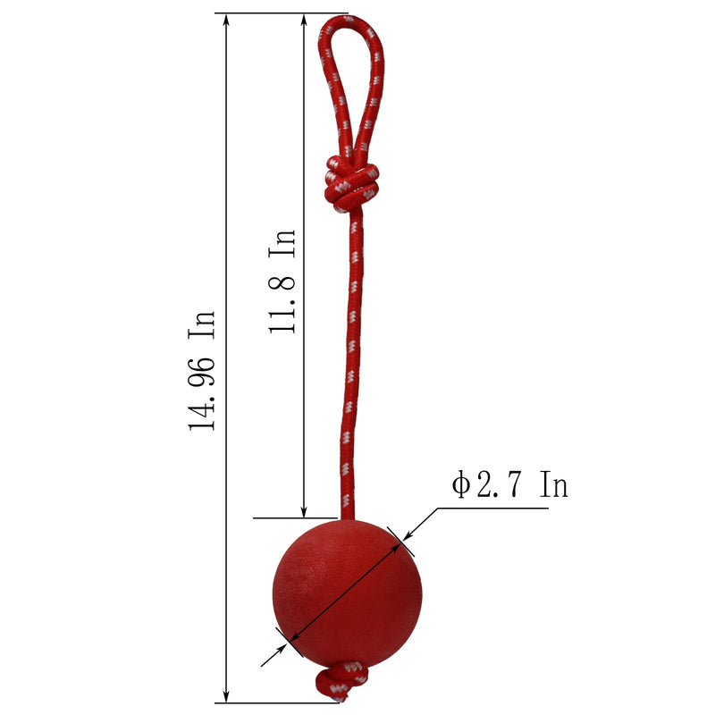 EDMISU Dog Leash Toys with Large Balls 2 Pack Dog Chew Toys Puppy Teething Toys Training Balls with Leash Exercise Toys for Large Medium Dogs - BeesActive Australia