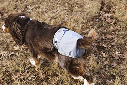 Pet Parents Washable Dog Diapers (3pack) of Durable Doggie Diapers, Premium Male & Female Dog Diapers Medium Natural - BeesActive Australia