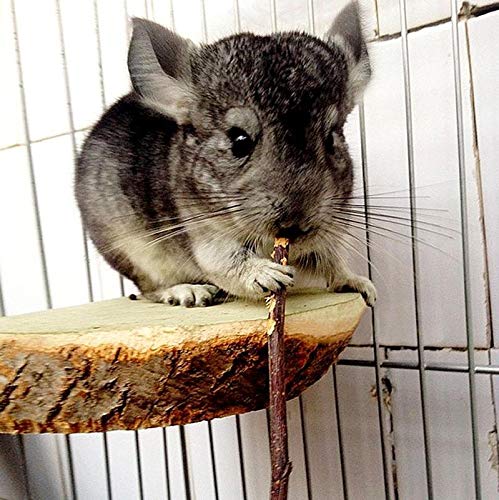 Natural Apple Sticks Small Animals Molar Wood Treats Toys Chinchilla Guinea Pig Hamster Rabbit Gerbil Parrot Bunny and Small Animals Chew Stick Toys Treats Apple Sticks 10oz - BeesActive Australia