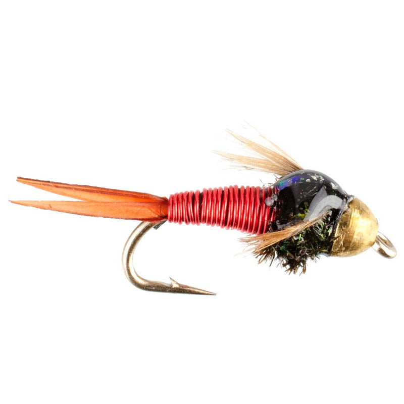 The Fly Fishing Place Basics Collection - Bead Head Copper John Assortment - 10 Wet Flies - 5 Patterns - Hook Sizes 14, 16, 18 - BeesActive Australia