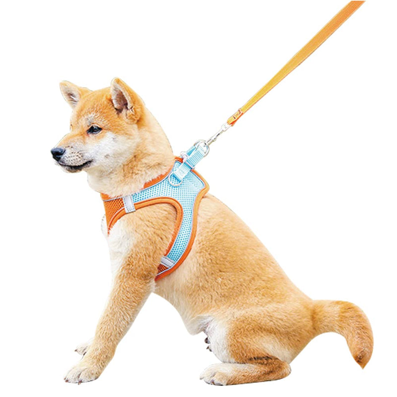 Richcatty 2.0 Generation Step in Air Dog Harness with 59“ Pet Leash for Dogs&Cats-Super Breathable Stable and Lightweight No Feeling Design More Comfortable Blend Orange M(Pet Weight12.1-16.5Lb) - BeesActive Australia