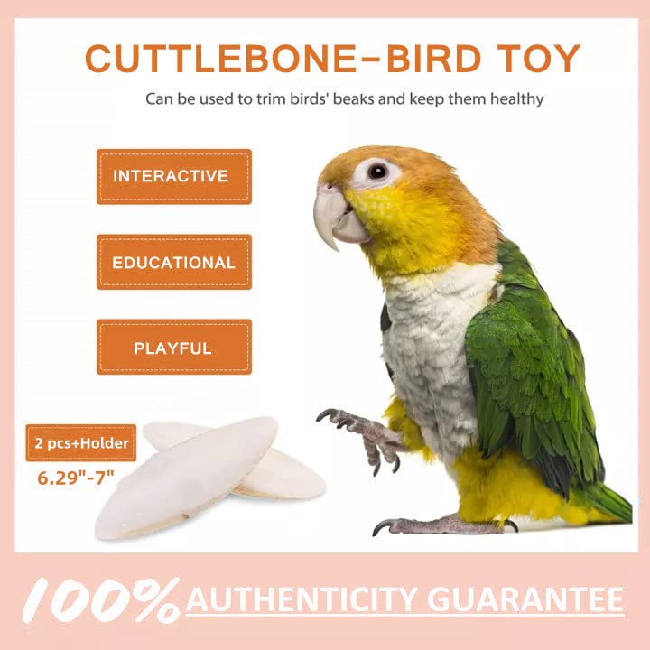 2 Pcs Large Cuttlebone for Birds Parrots, Cuddle Bones with Plastic Holder for Cockatiels Parakeets Budgies Finches, Extra Large Cuttlefish Bone About 6.29" Orange - BeesActive Australia