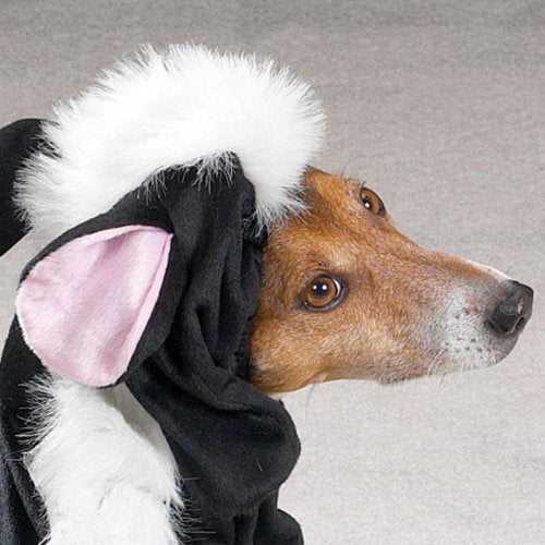 Casual Canine Lil’ Stinker Dog Costume M (Neck: 13", Girth: 22", Back: 16") - BeesActive Australia