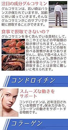 Kitanihon Kagaku Glucosamine Collagen Chondroitin 3in1 Supplement Nutritional Supplement - BeesActive Australia