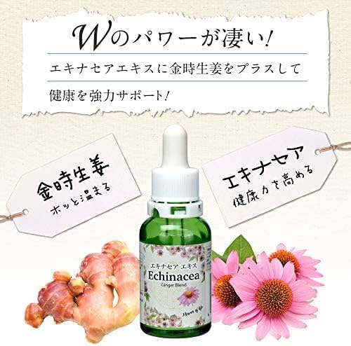Echinacea Concentrated Extract (Made in Japan) Simply Mix with Water - BeesActive Australia