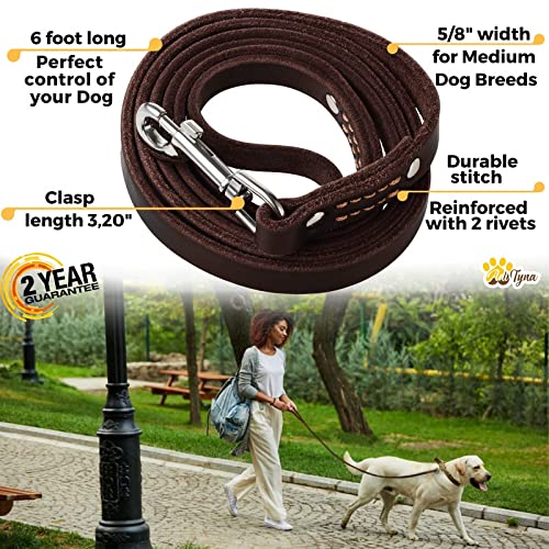 ADITYNA Leather Dog Leash 6 Foot - Soft and Strong Leather Leash for Small and Medium Dog 6 ft x 5/8" Brown - BeesActive Australia
