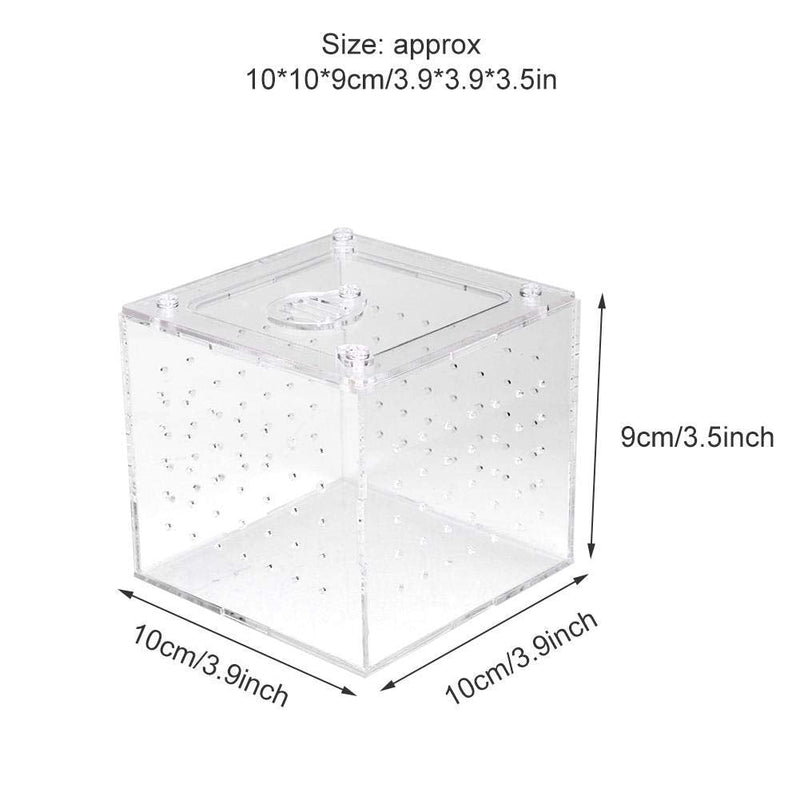 ViaGasaFamido Transparent Reptile Insect Viewing Box, Live Food Storage Acrylic Reptile Breeding Box for Spider Crickets Snails Tarantulas Geckos 3.9x3.9x3.5inch - BeesActive Australia