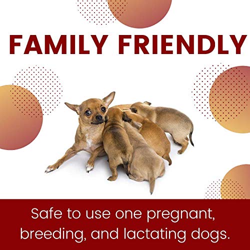 ZoGuard Plus Flea and Tick Prevention for Dogs (Large - 45-88 lb) 6 Dose - BeesActive Australia