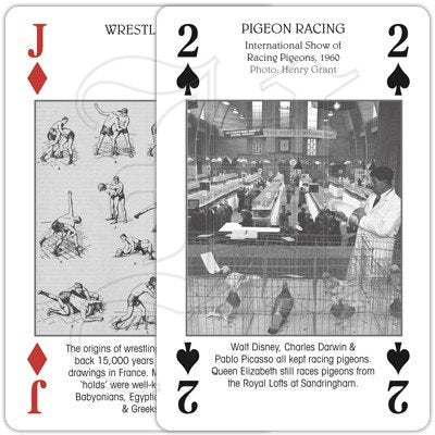 [AUSTRALIA] - Sporting Britain Illustrated Playing Cards 