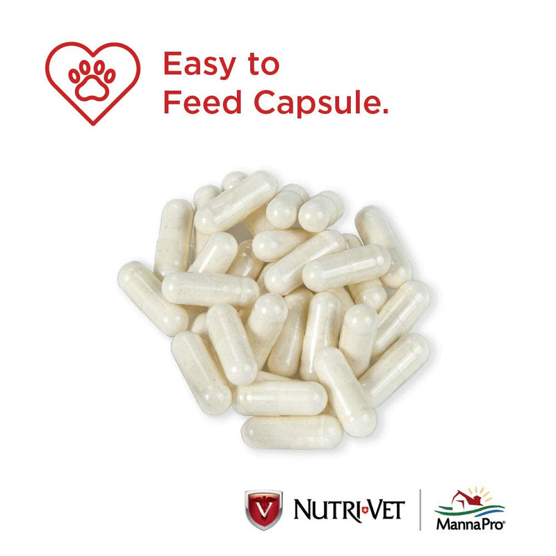 Nutri-Vet Probiotics Capsules for Dogs | Supports Digestive Health | For All Size Dogs | Promotes Healthy Immune System | Vet Formulated | 60 Count Capsules - BeesActive Australia