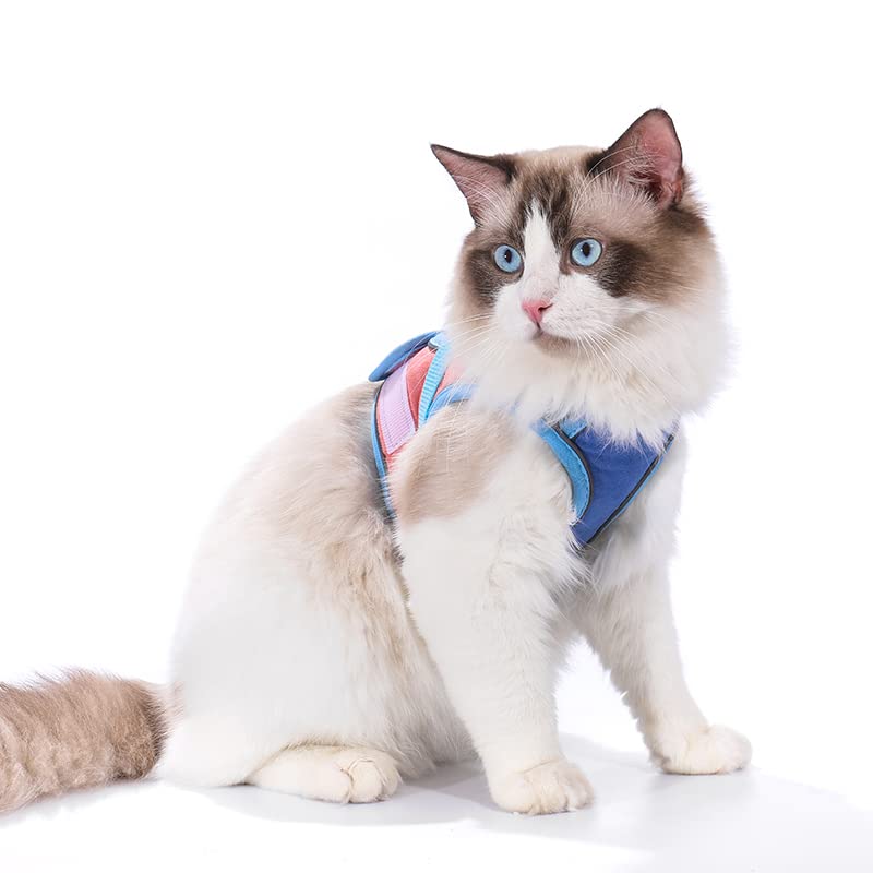TOTORO Cat Harness and Leash for Walking Escape Proof ，Adjustable Comfortable Suedette Vest Harnesses for Cats，Reflective Strips Easy to Put on Step-in Velcro Jacket Medium Blue - BeesActive Australia