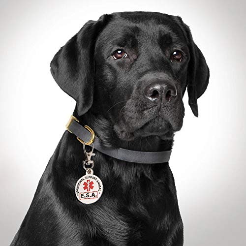 - Official "Emotional Support Animal" ESA Round Hanging ID Tag - Hang from a Collar, Vest, Harness or Leash. Great Identification for Small and Large Emotional Support Dogs - Includes Five ESA Information Cards - BeesActive Australia