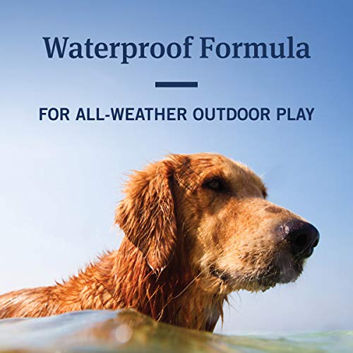 PetArmor Max Flea, Tick and Mosquito Prevention for Large Dogs (21 to 55 Pounds), 6 Monthly Treatments - BeesActive Australia