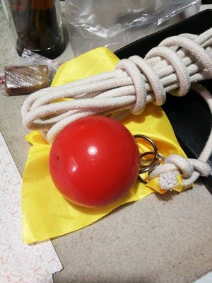 suzakoo Exercise Ball Martial Arts Fitness Equipment Tool Practice Instrument Rubber with Rope Soft - BeesActive Australia