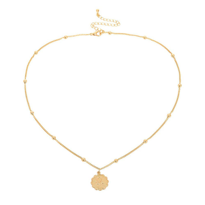 Aimimier Zodiac Sign Necklace with Medallion Coin Pendant Leo Necklace Astrology Statement Jewelry Gift for Girlfriend Women (Gold) Gold - BeesActive Australia
