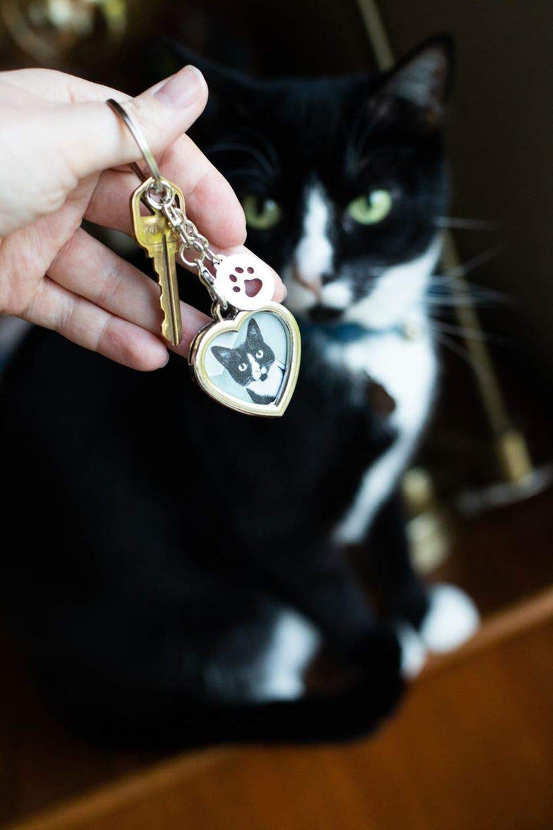 Pearhead Pet Keychains, Cat Keychains and Dog Keychains for Pet Owners, Cat Owner Accessories, Dog Owner Accessories Heart Keychain - BeesActive Australia